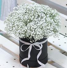 Цветочная композиция из Гипсофила в шляпной коробке #REPLACE_PRED# Данкове